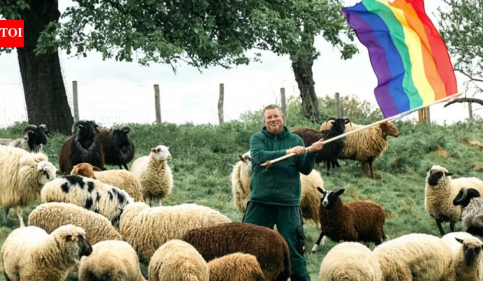 Meet Michael Stucke: German farmer saves 'gay' sheep from slaughterhouse and uses proceeds to help people fleeing homophobic persecution | World News