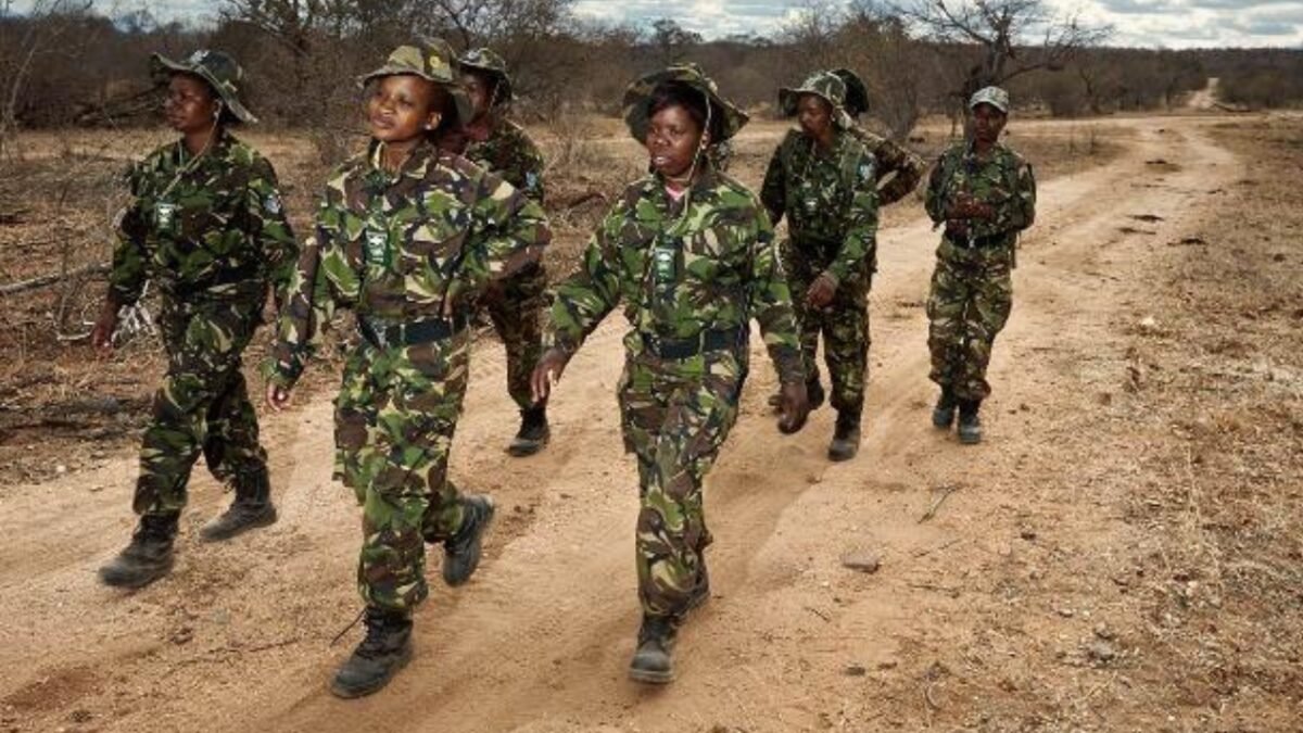 Meet the Black Mamba: In one of South Africa's most poached areas, 36 unarmed women patrol the front lines and protect endangered rhinos | World News