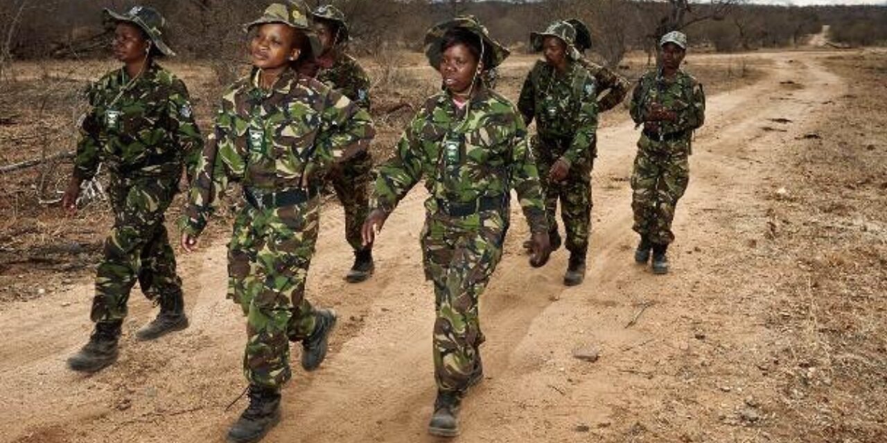 Meet the Black Mamba: In one of South Africa's most poached areas, 36 unarmed women patrol the front lines and protect endangered rhinos | World News