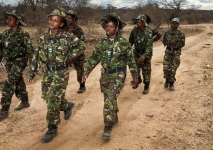 Meet the Black Mamba: In one of South Africa's most poached areas, 36 unarmed women patrol the front lines and protect endangered rhinos | World News