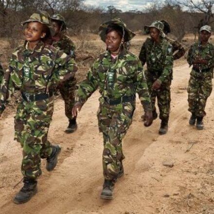 Meet the Black Mamba: In one of South Africa's most poached areas, 36 unarmed women patrol the front lines and protect endangered rhinos | World News