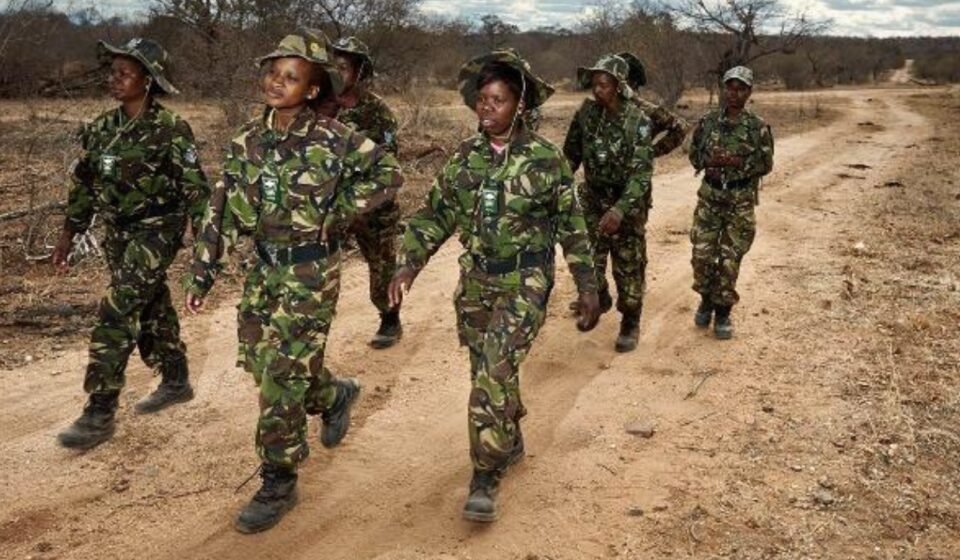 Meet the Black Mamba: In one of South Africa's most poached areas, 36 unarmed women patrol the front lines and protect endangered rhinos | World News