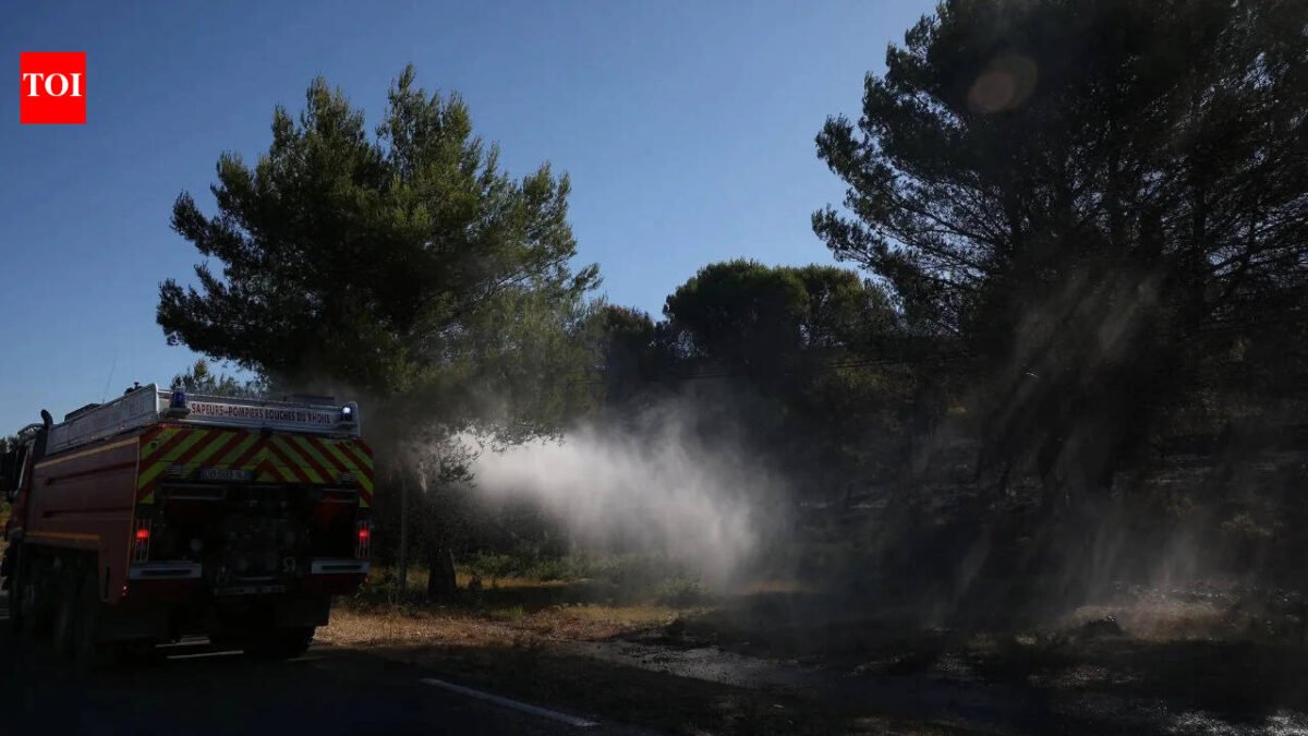 More than 1,200 hectares of land were burned! Firefighters battle southern France wildfires after deadly heatwave
