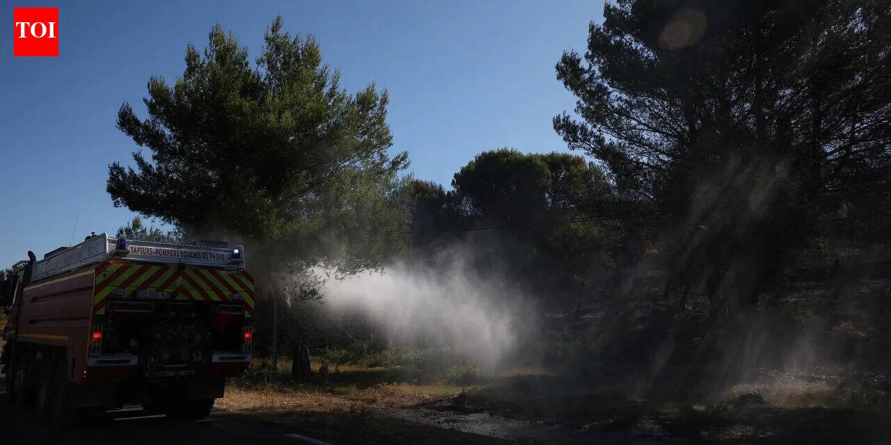 More than 1,200 hectares of land were burned! Firefighters battle southern France wildfires after deadly heatwave