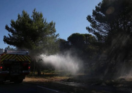 More than 1,200 hectares of land were burned! Firefighters battle southern France wildfires after deadly heatwave