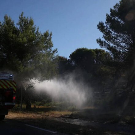 More than 1,200 hectares of land were burned! Firefighters battle southern France wildfires after deadly heatwave