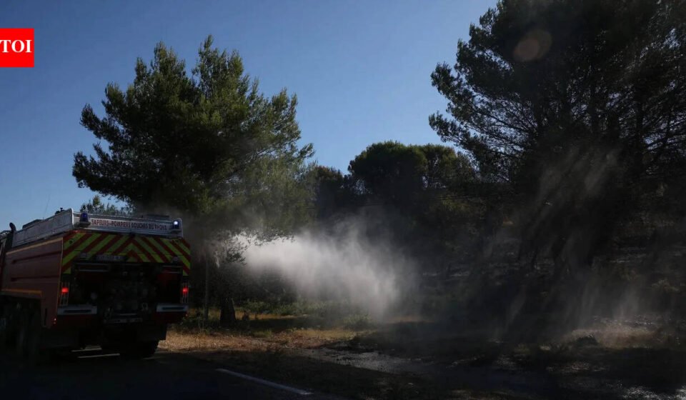 More than 1,200 hectares of land were burned! Firefighters battle southern France wildfires after deadly heatwave
