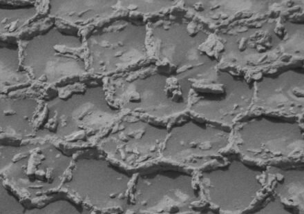 NASA's Curiosity rover discovers mysterious honeycomb pattern on Mars, leaving scientists puzzled about its origins