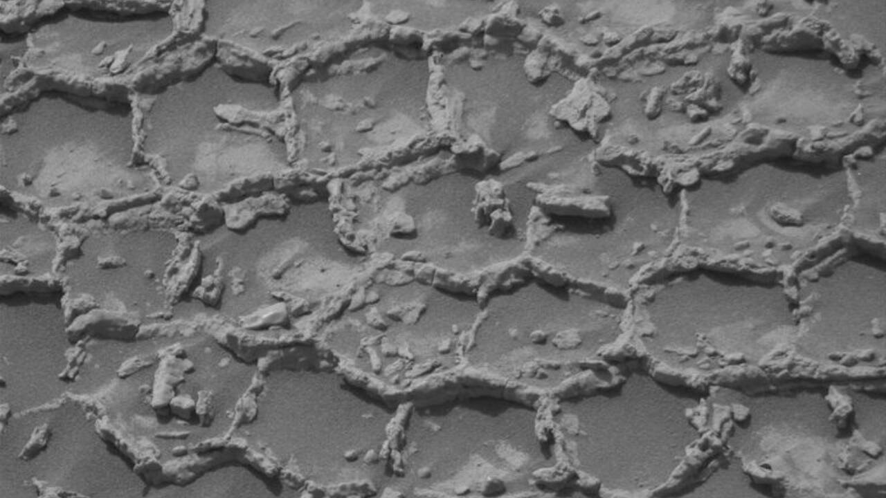 NASA's Curiosity rover discovers mysterious honeycomb pattern on Mars, leaving scientists puzzled about its origins