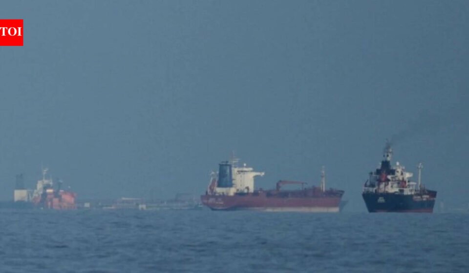 Oman proposes Gulf support for voluntary tolls in Strait of Hormuz