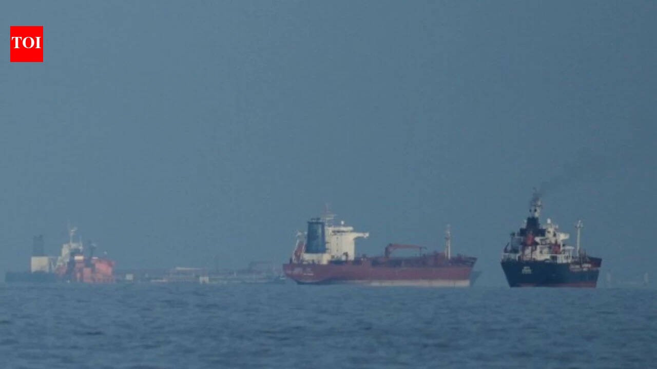 Oman proposes Gulf support for voluntary tolls in Strait of Hormuz