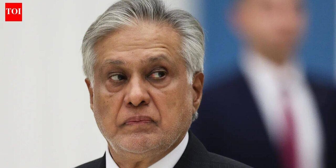 Pakistan gang rape case: Four arrested for assaulting two foreign women, relatives of Deputy Prime Minister Ishaq Dar