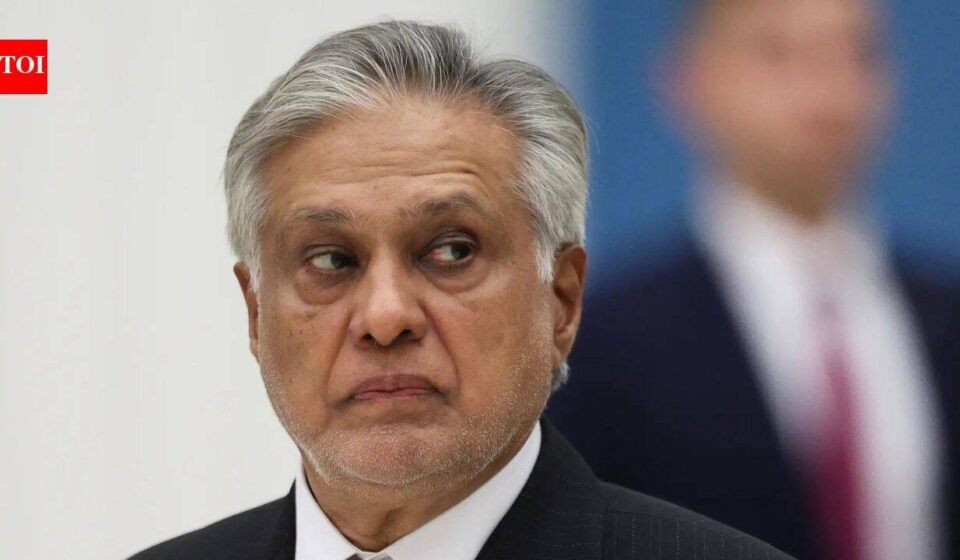 Pakistan gang rape case: Four arrested for assaulting two foreign women, relatives of Deputy Prime Minister Ishaq Dar