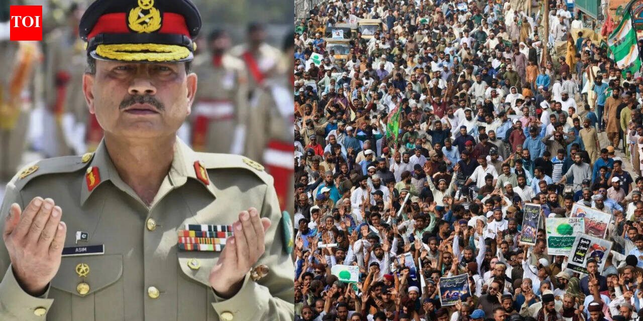 Pakistan turns to army chief Asim Munir to deal with population growth