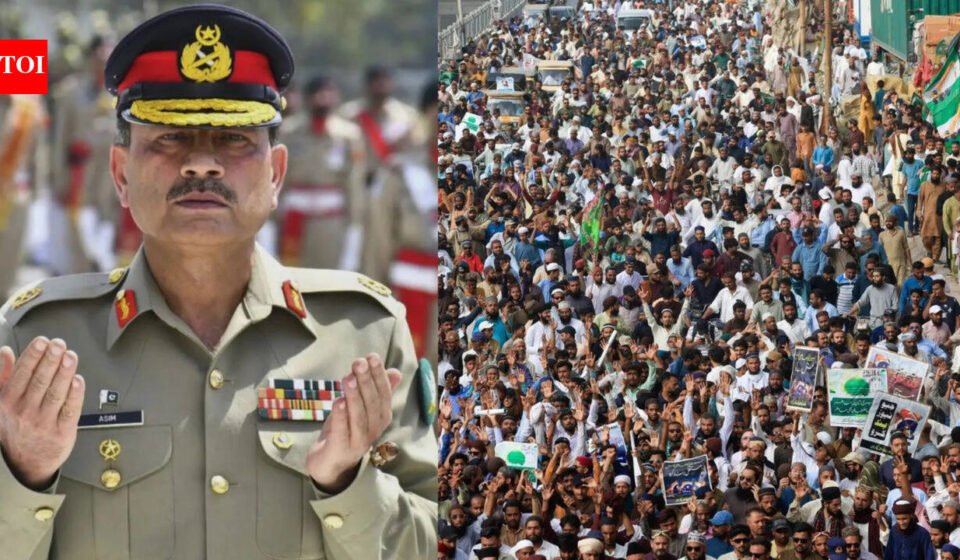 Pakistan turns to army chief Asim Munir to deal with population growth