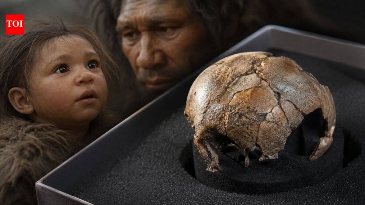 Rare Neanderthal baby fossil reveals our ancient relatives may have started life like modern humans World News