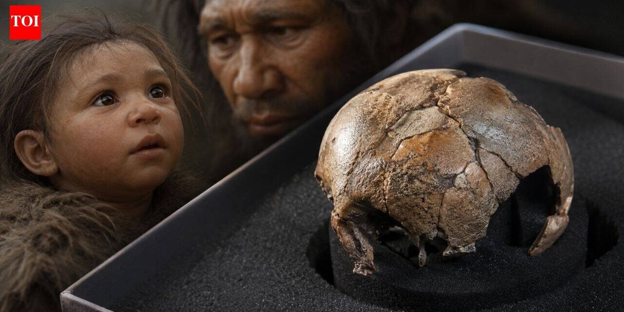 Rare Neanderthal baby fossil reveals our ancient relatives may have started life like modern humans World News