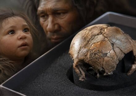 Rare Neanderthal baby fossil reveals our ancient relatives may have started life like modern humans World News