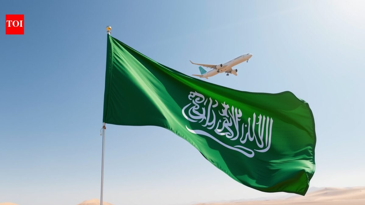 Saudi Arabia: Saudi Arabia simplifies travel with all-in-one visa package including flights, hotels and e-Visa services | World News