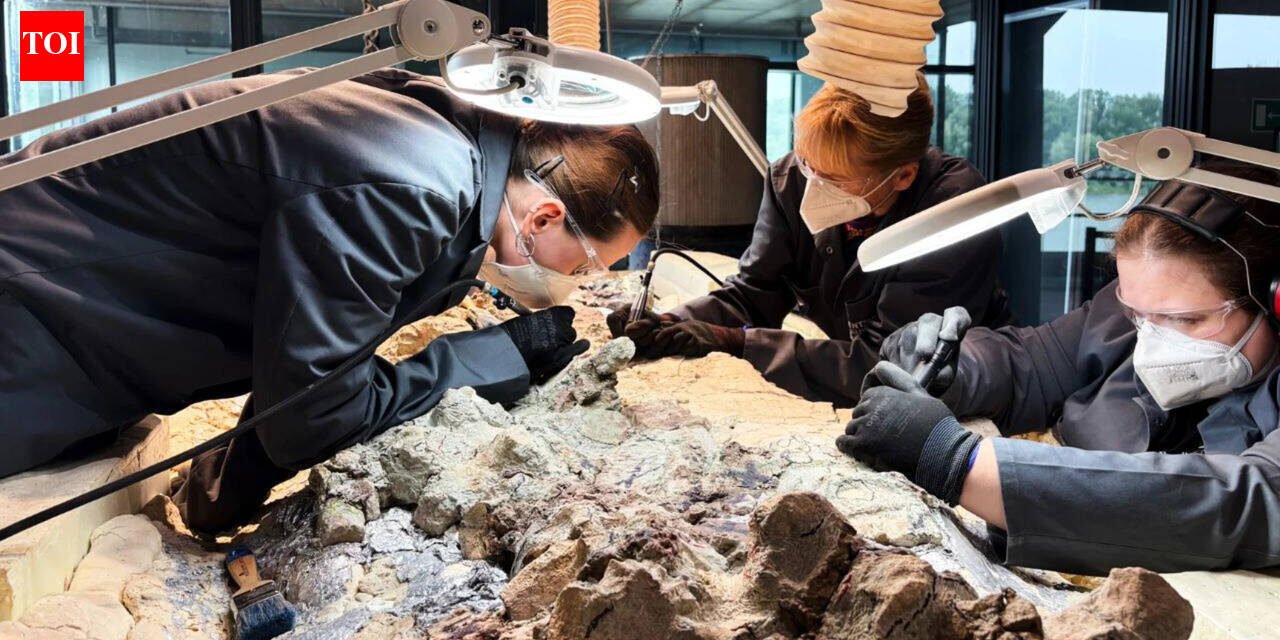 Scientists discover a 2,865-pound predator before dinosaurs ruled the Earth; now 2,000 ordinary people are helping reveal its skeleton