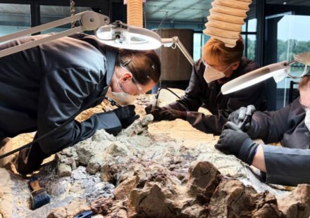 Scientists discover a 2,865-pound predator before dinosaurs ruled the Earth; now 2,000 ordinary people are helping reveal its skeleton
