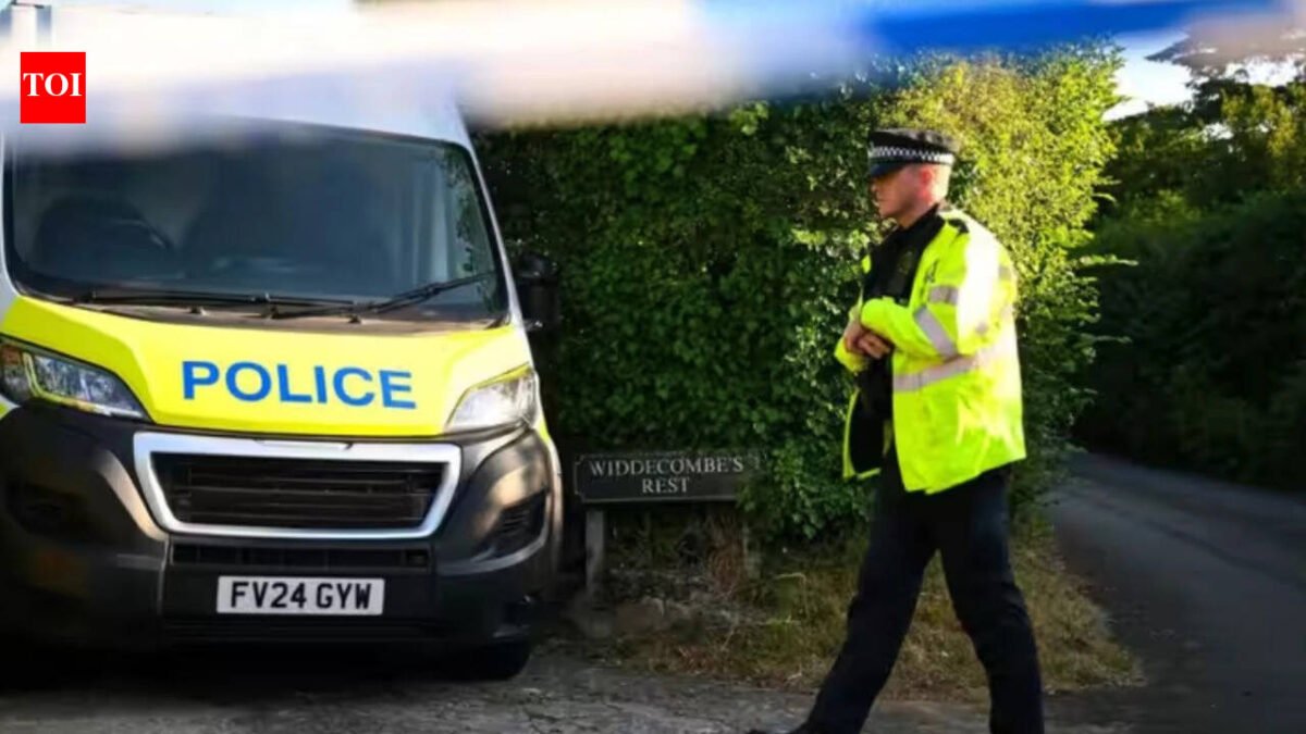 'She helped pay my school fees': Sister of Indian woman stabbed to death in London demands justice