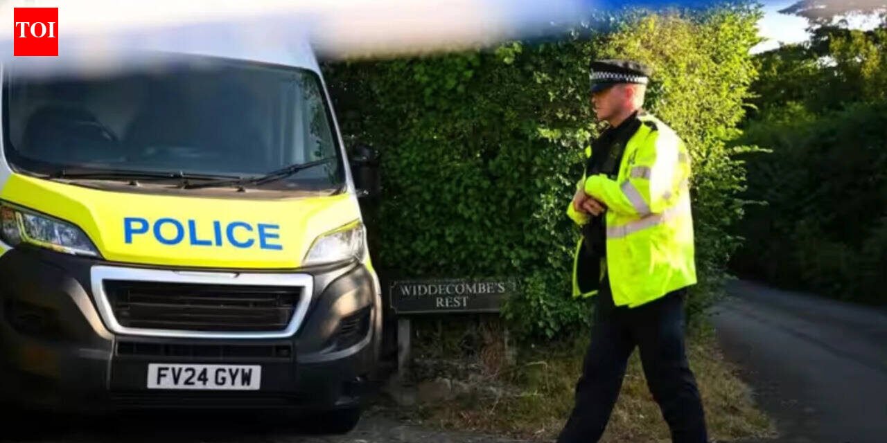 'She helped pay my school fees': Sister of Indian woman stabbed to death in London demands justice