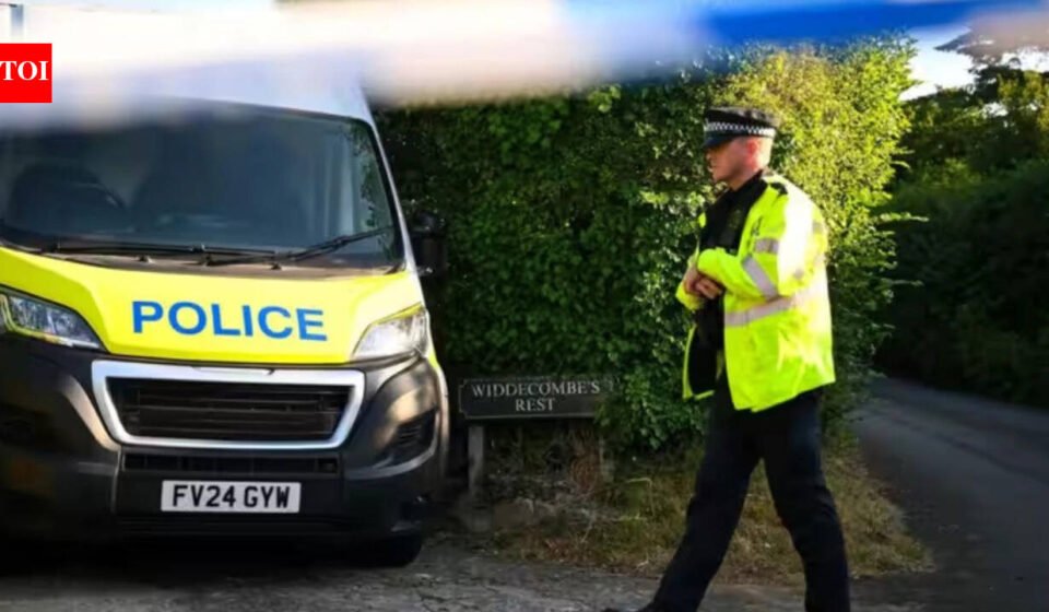 'She helped pay my school fees': Sister of Indian woman stabbed to death in London demands justice
