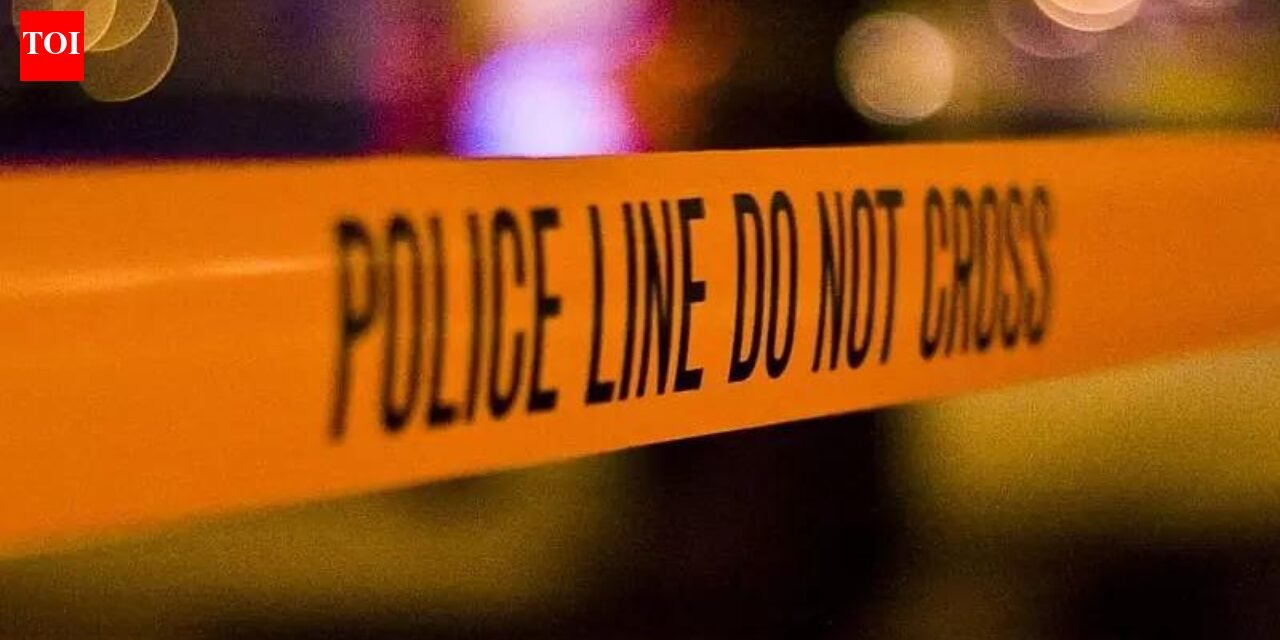 Shooting in the United States on July 4th: 8 people were injured in Coney Island, Brooklyn, including 4 children