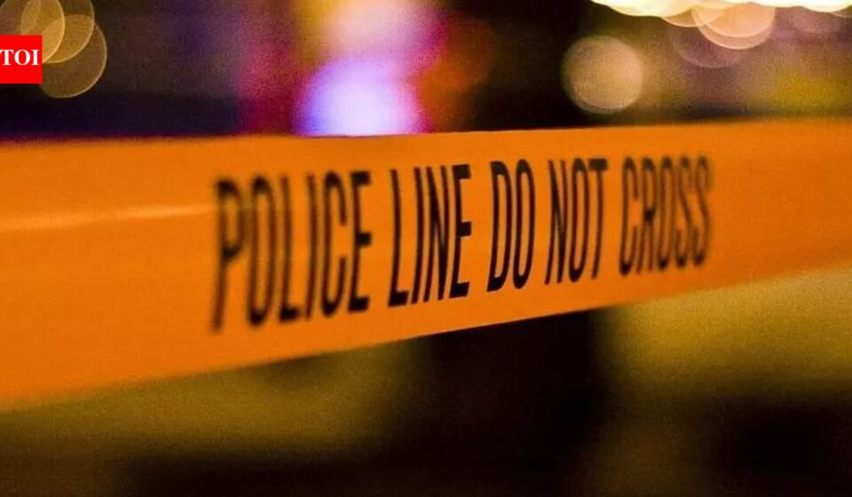 Shooting in the United States on July 4th: 8 people were injured in Coney Island, Brooklyn, including 4 children