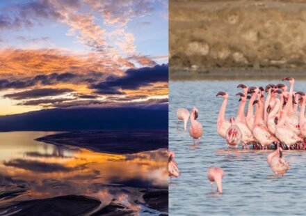 Tanzania's Lake Natron is one of the deadliest lakes in the world but a haven for flamingos | World News