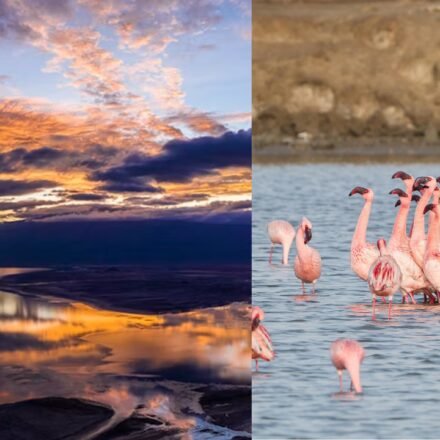 Tanzania's Lake Natron is one of the deadliest lakes in the world but a haven for flamingos | World News