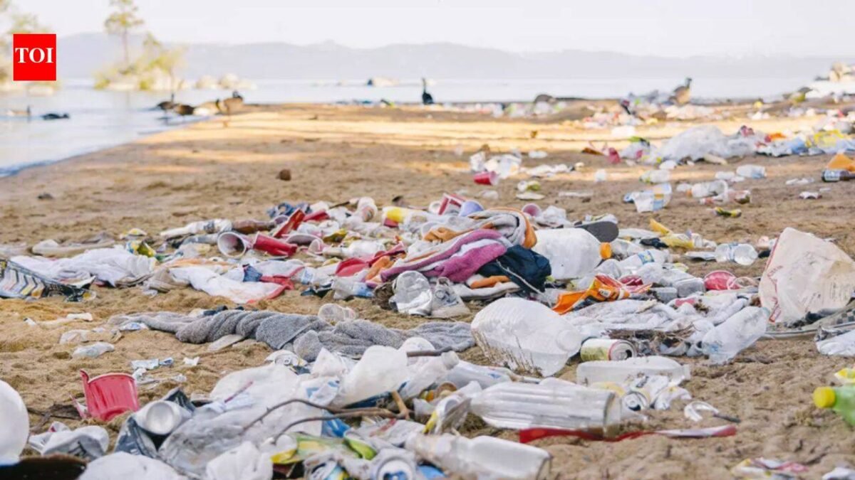 The amount of trash Americans generate over the July 4th weekend is staggering