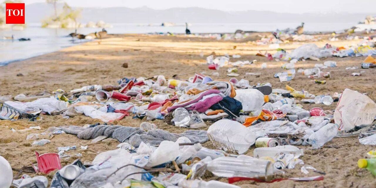 The amount of trash Americans generate over the July 4th weekend is staggering