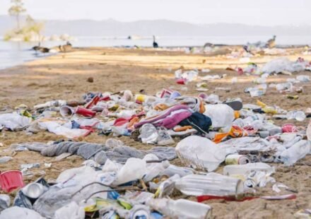 The amount of trash Americans generate over the July 4th weekend is staggering