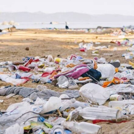 The amount of trash Americans generate over the July 4th weekend is staggering