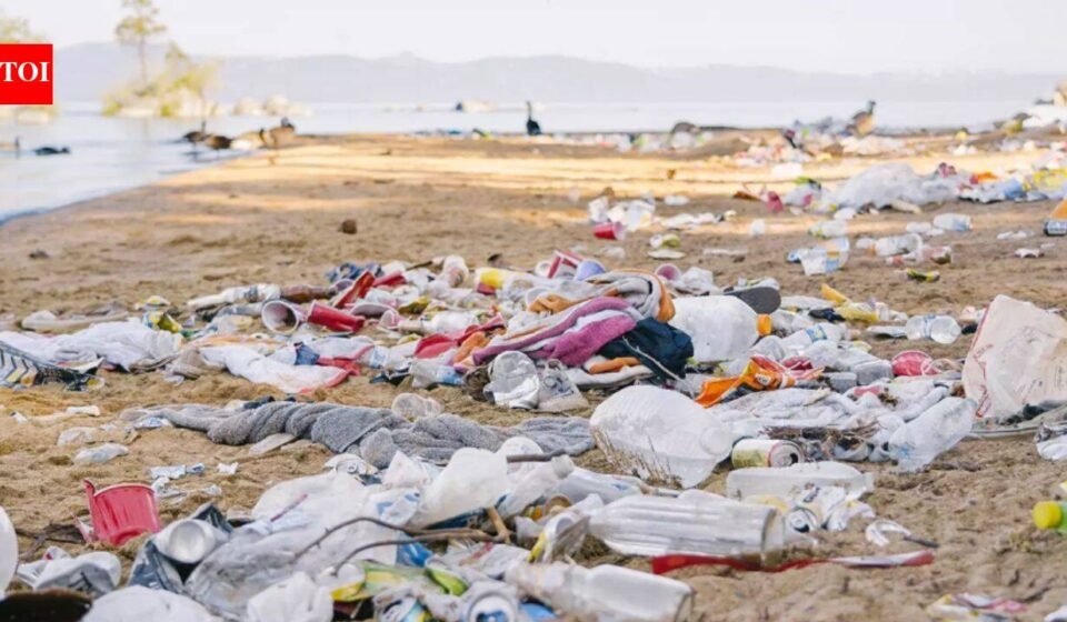 The amount of trash Americans generate over the July 4th weekend is staggering