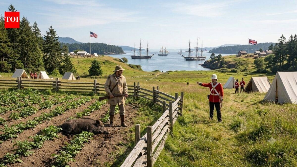 The pig that almost started a war: How a pig's shooting in 1859 turned a San Juan Island farm dispute into a 12-year Anglo-American standoff | News World News