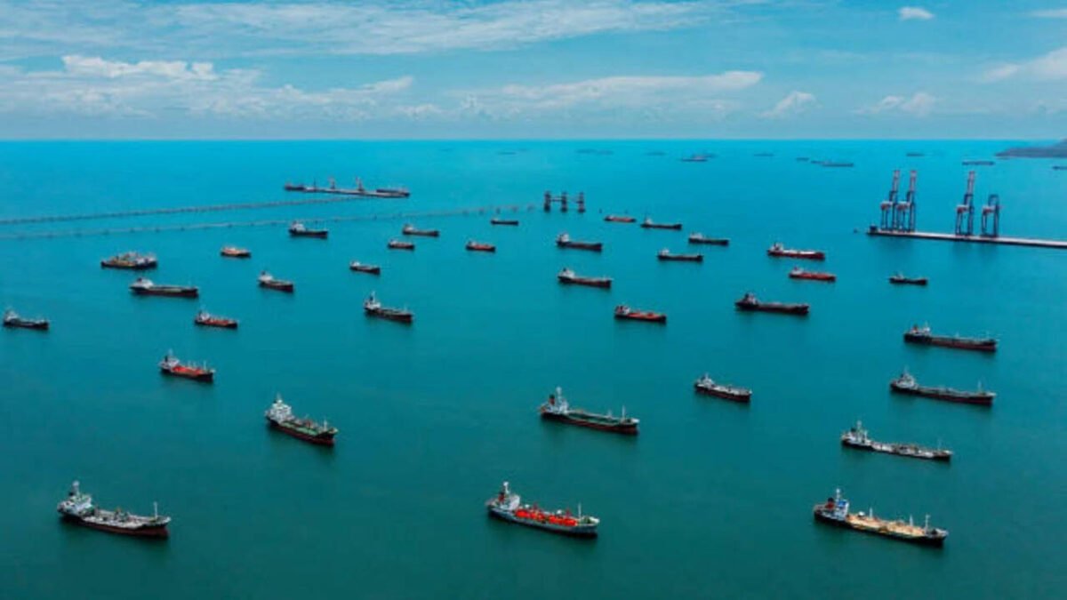 Thousands of idle ships near the Strait of Hormuz could become floating nurseries for invasive marine species, spreading them around the world when trade resumes