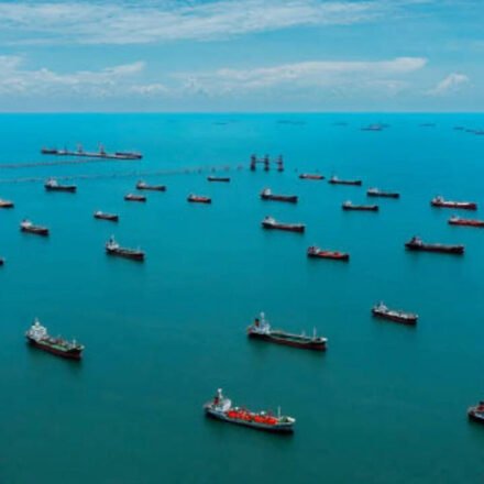 Thousands of idle ships near the Strait of Hormuz could become floating nurseries for invasive marine species, spreading them around the world when trade resumes