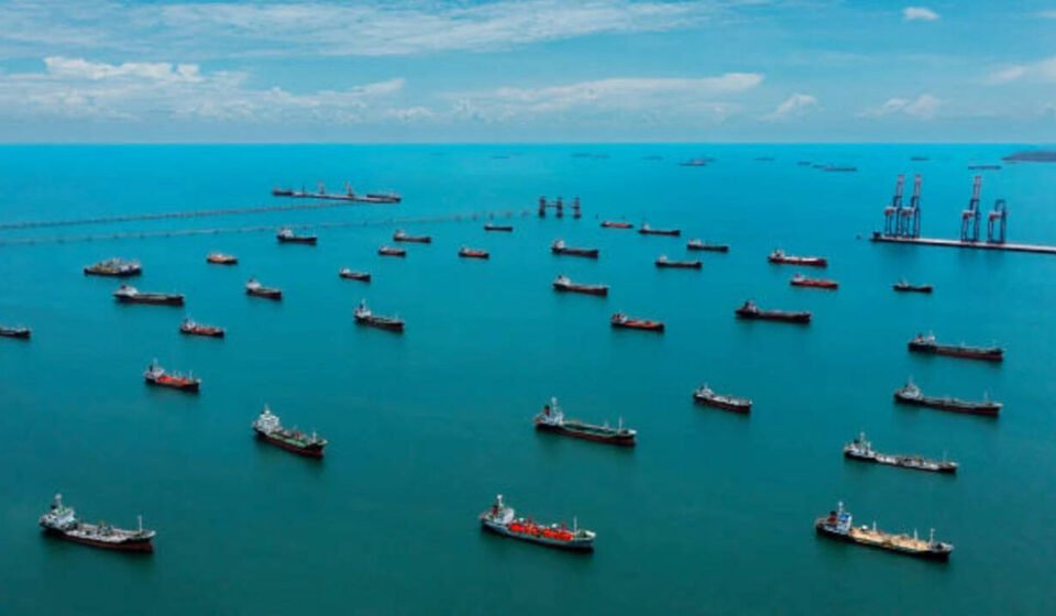 Thousands of idle ships near the Strait of Hormuz could become floating nurseries for invasive marine species, spreading them around the world when trade resumes