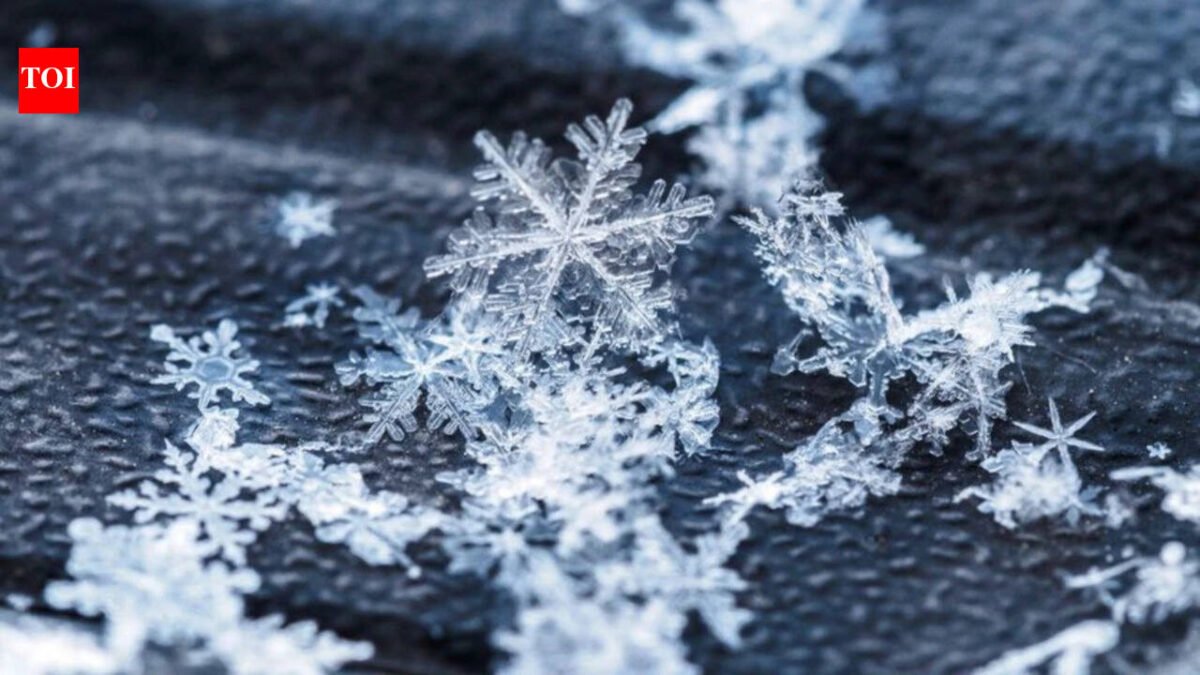 Today’s Canadian proverb: “No snowflake falls twice” – Even life’s smallest moments are never repeated the same way, no matter how similar they may seem