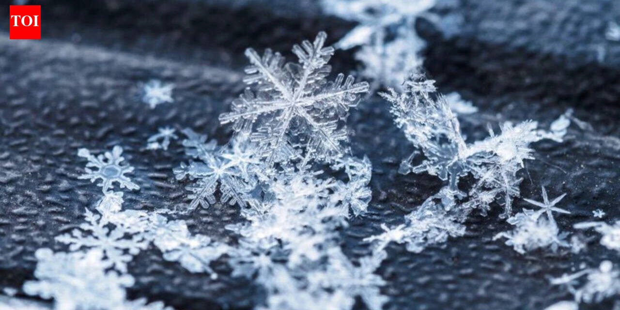 Today’s Canadian proverb: “No snowflake falls twice” – Even life’s smallest moments are never repeated the same way, no matter how similar they may seem