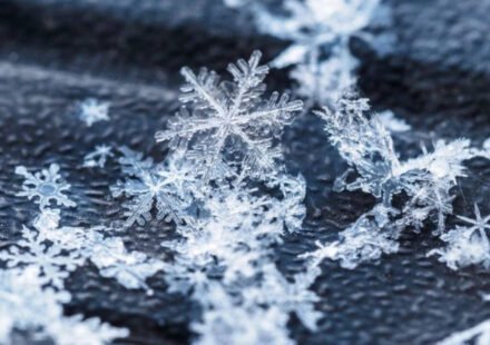 Today’s Canadian proverb: “No snowflake falls twice” – Even life’s smallest moments are never repeated the same way, no matter how similar they may seem