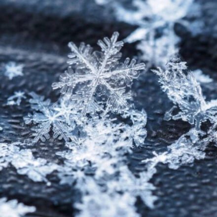 Today’s Canadian proverb: “No snowflake falls twice” – Even life’s smallest moments are never repeated the same way, no matter how similar they may seem