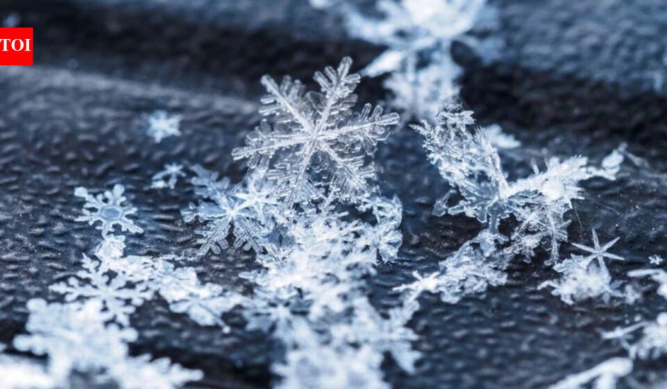 Today’s Canadian proverb: “No snowflake falls twice” – Even life’s smallest moments are never repeated the same way, no matter how similar they may seem
