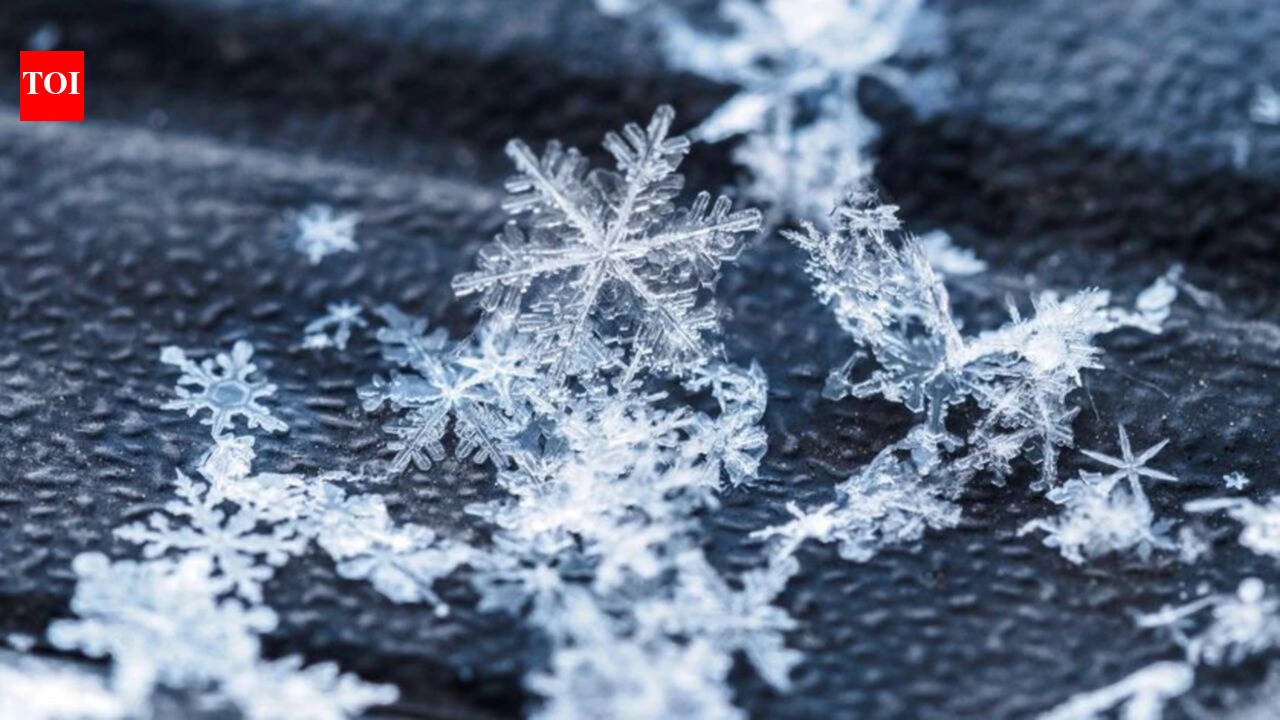 Today’s Canadian proverb: “No snowflake falls twice” – Even life’s smallest moments are never repeated the same way, no matter how similar they may seem