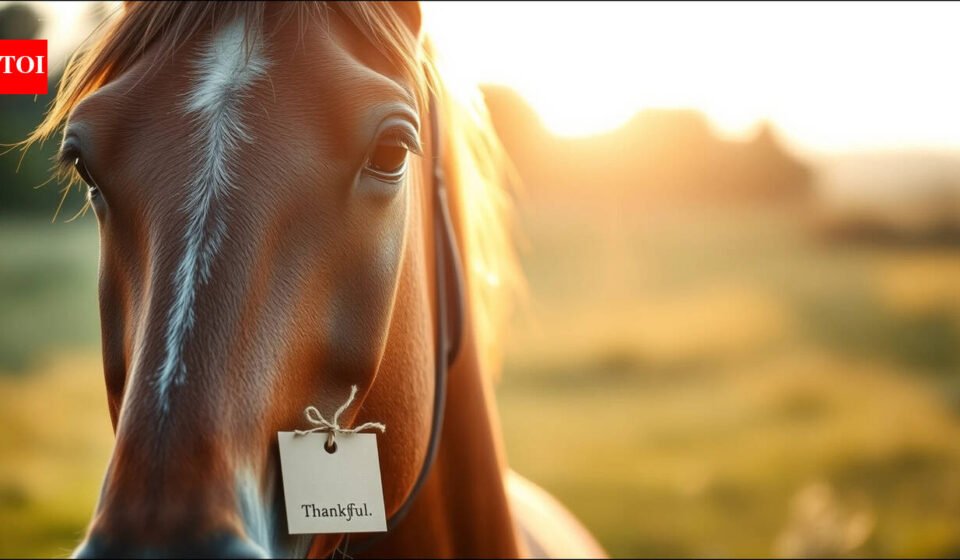 Today's Russian proverb "Don't take a gift personally" teaches us how to accept a gift with gratitude and humility, rather than being critical of it