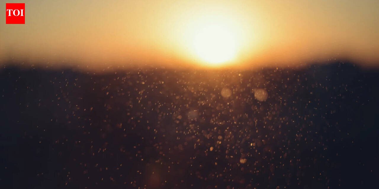 Today’s best proverb: “Even sunshine negotiates with dust to form shadows” Even brilliance must bargain with resistance