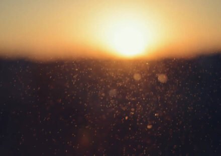 Today’s best proverb: “Even sunshine negotiates with dust to form shadows” Even brilliance must bargain with resistance